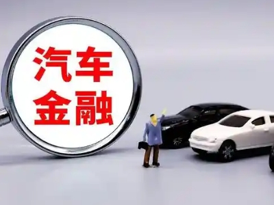 新龙押车贷款不是本人可以么?